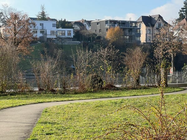 Sonniges Studio mit direktem Rheinblick 1