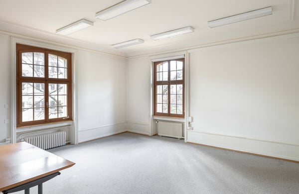 Historische, neobarocke Villa/Geschäftshaus an exklusiver Lage im Gellert 7