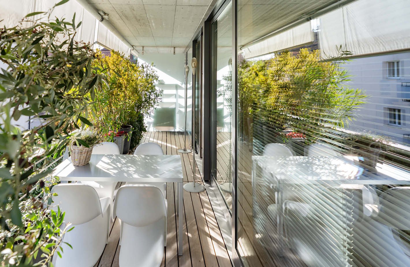 modern design white table and chairs, glass railings, plants, wooden floor