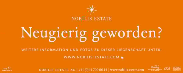 Schönes Schlossanwesen mit Nebengebäuden und grosszügigem Grundstück 10