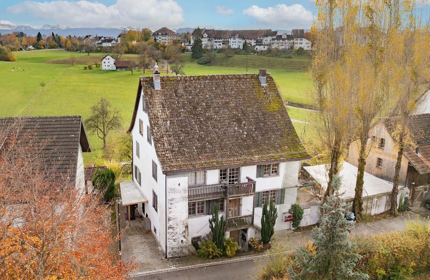 A white house with a balcony, brown roof, situated in a village, surrounded by green fields and mountains.