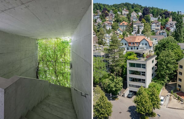 Urbanes Wohnen zwischen Innenstadt und Zürichberg 10