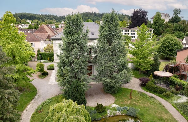 Historische Villa mit vielseitigen Nutzungsmöglichkeiten 8
