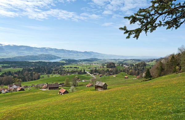 Exklusive Gartenwohnung mit hochwertigem Innenausbau 12