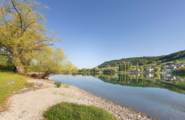 Historisches Anwesen mit Rheinanstoss und Weitblick 5