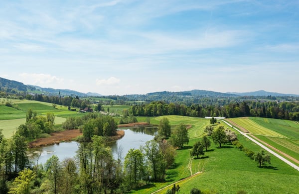 Schloss in St. Gallen – Repräsentatives, totalsaniertes Schloss mit See- und Weitsicht 6