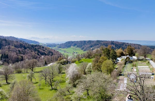 Einzigartiges Wohnensemble mit Weitblick und vielseitigem Nutzungspotenzial 6