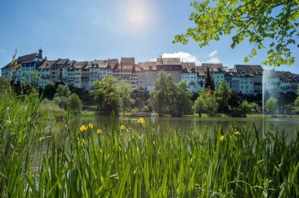 Grosszügiges Grundstück an einmaliger Lage 3