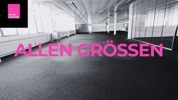 Mehr Raum, mehr Plan - im 1. Stock von Reinach geht was an! 13