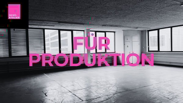 Hier wird malocht, nicht geschnarcht - Industriefläche mit Power in Reinach gepaart! 10