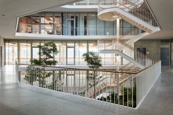 Viel Fläche, viel Wert - im Wankdorf geht was verkehrt, wenn man?s verpasst! 6