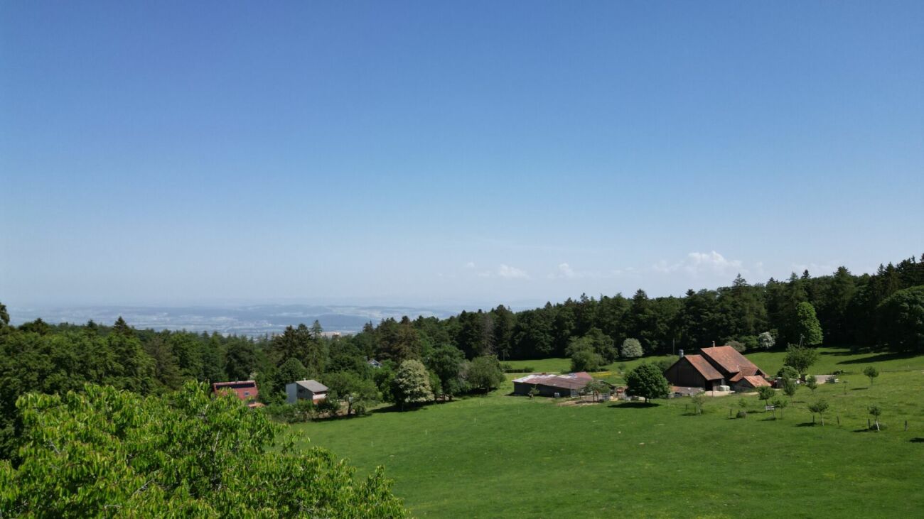 Idyllisches Chalet mit grossem Grundstück an absoluter Ruhelage in Magglingen