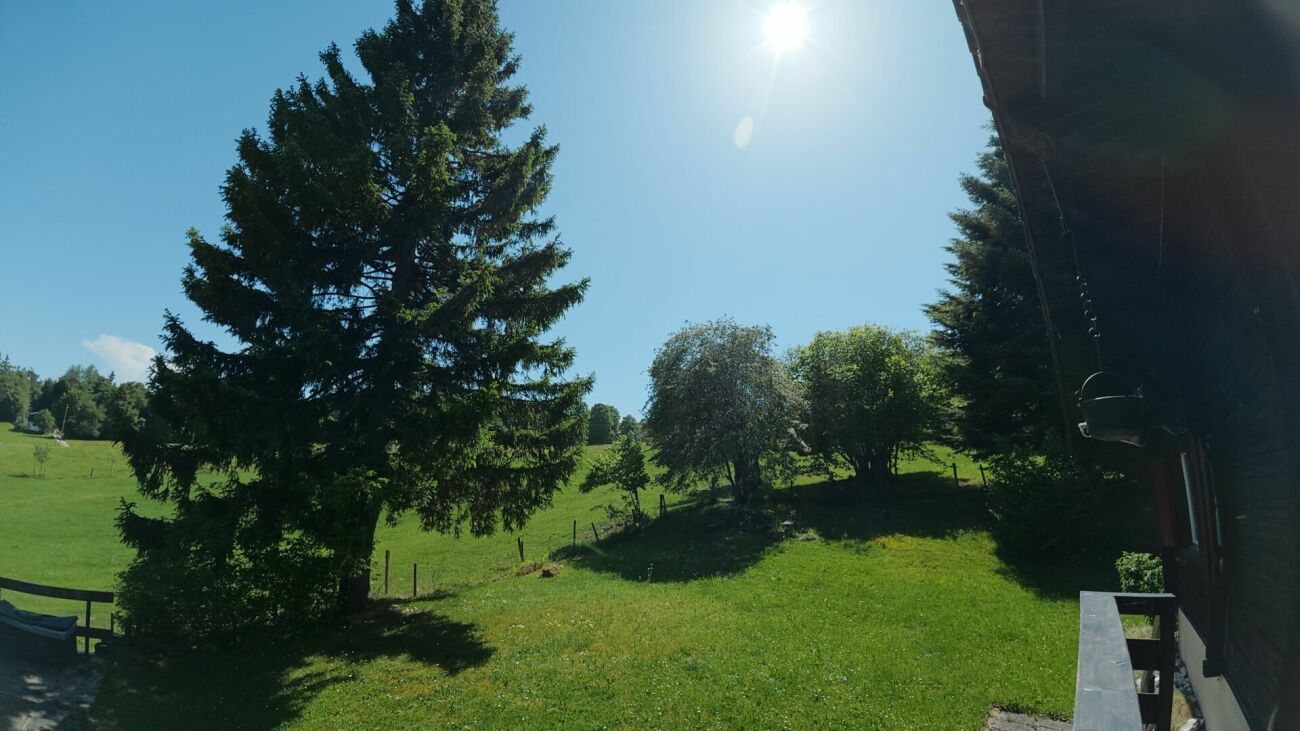 Idyllisches Chalet mit grossem Grundstück an absoluter Ruhelage in Magglingen