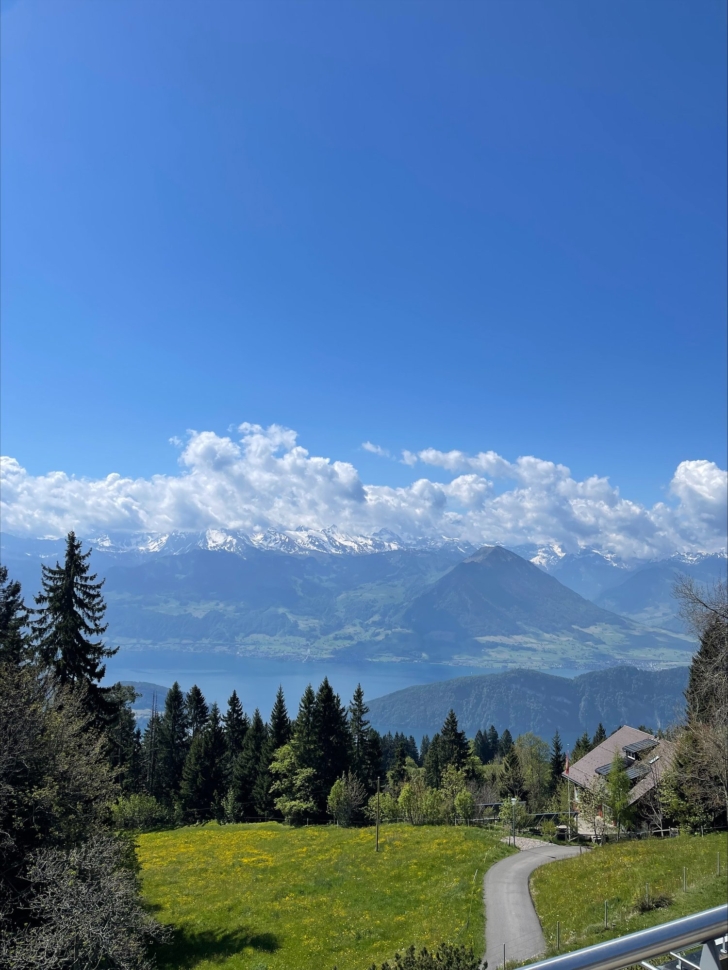 green grass, trees, mountains, lake, house
