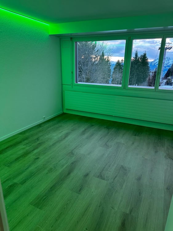 Charmantes 1-Zimmer-Studio in ruhiger Lage in Rigi Kaltbad 2