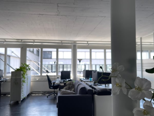 Helle Bürofläche an guter Lage in Cham 19