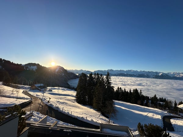 Traumhafte 7.5 Zimmer Wohnung auf Rigi Kaltbad, frisch renoviert – mit See-, Berg- und Alpenblick 8
