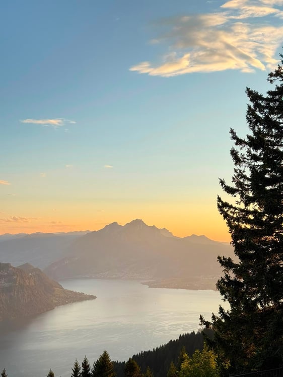 Möbliertes 1.5-Zimmer-Studio – frisch renoviert in Rigi Kaltbad 6