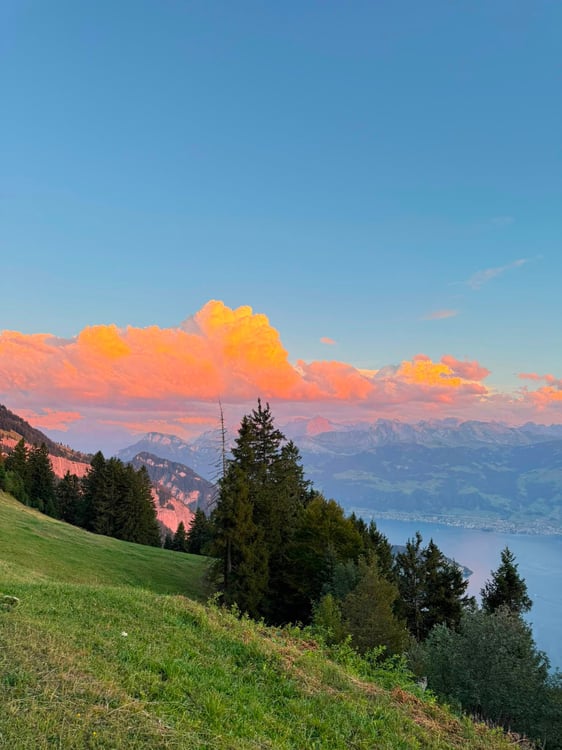 Möbliertes 1.5-Zimmer-Studio – frisch renoviert in Rigi Kaltbad 5