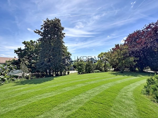 Charmante maison jumelée de 5.5 pièces avec jardin arboré et terrasse ensoleillée 12