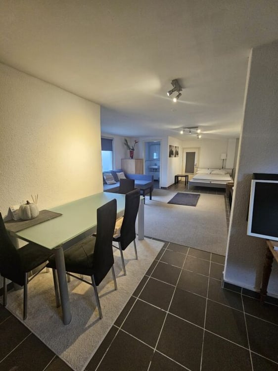 2.5 ZWG - Apartment 1