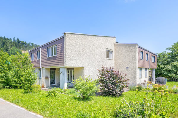 Doppelhaushälfte (EFH) in Madetswil 1