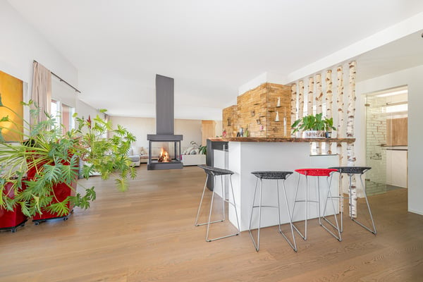 Über den Dächern von Arlesheim zuhause 9