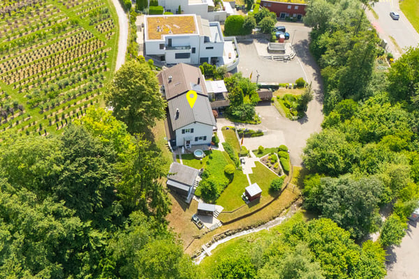 Mitten im eigenen Paradies 12