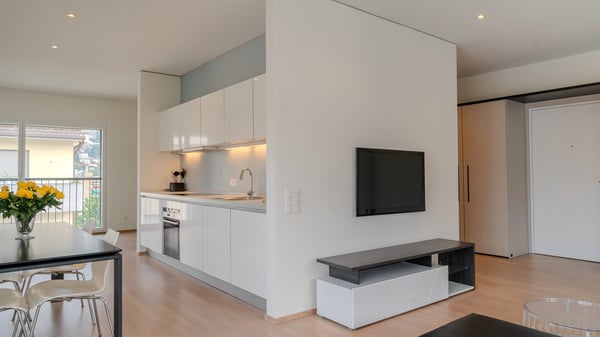 Ampio Loft arredato a Lugano, Molino Nuovo 2
