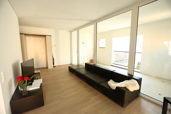 Ampio Loft arredato a Lugano, Molino Nuovo 2