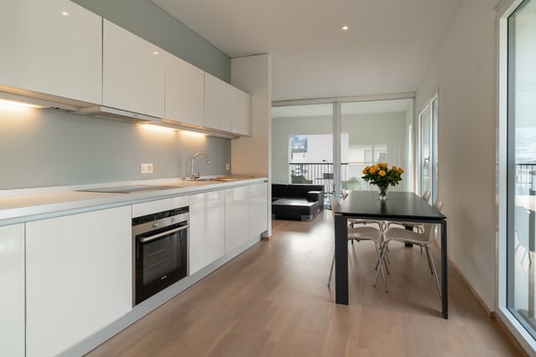 Ampio Loft arredato a Lugano, Molino Nuovo 6