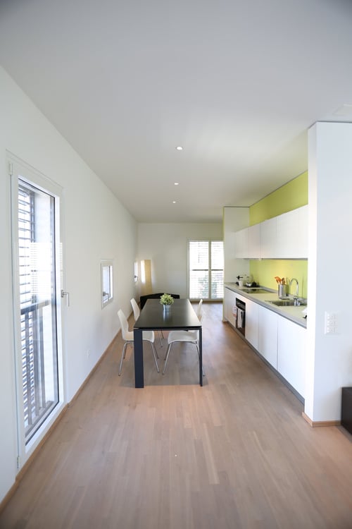 Ampio Loft arredato a Lugano, Molino Nuovo 4