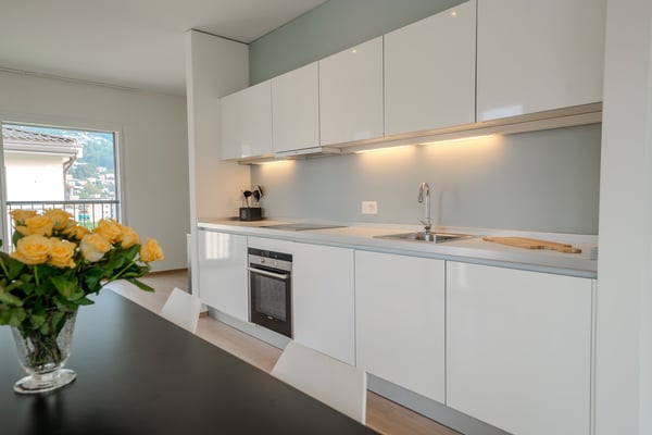 Ampio Loft arredato a Lugano, Molino Nuovo 5