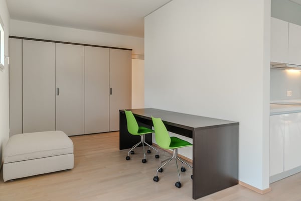Ampio Loft arredato a Lugano, Molino Nuovo 7