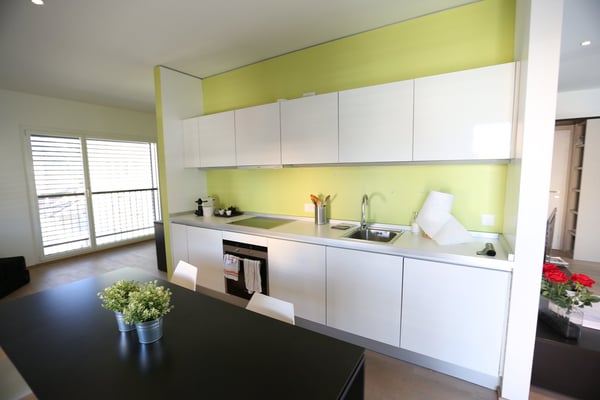 Ampio Loft arredato a Lugano, Molino Nuovo 5
