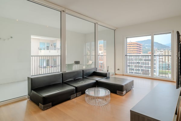 Ampio Loft arredato a Lugano, Molino Nuovo 3