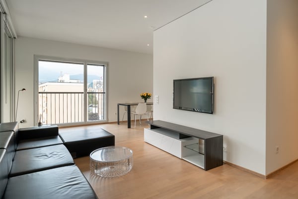 Ampio Loft arredato a Lugano, Molino Nuovo 4