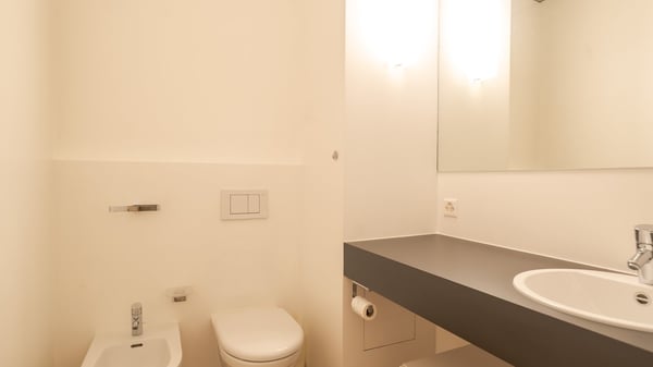 Ampio Loft arredato a Lugano, Molino Nuovo 12