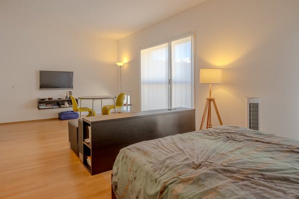 Ampio monolocale arredato a Lugano/Molino Nuovo 4