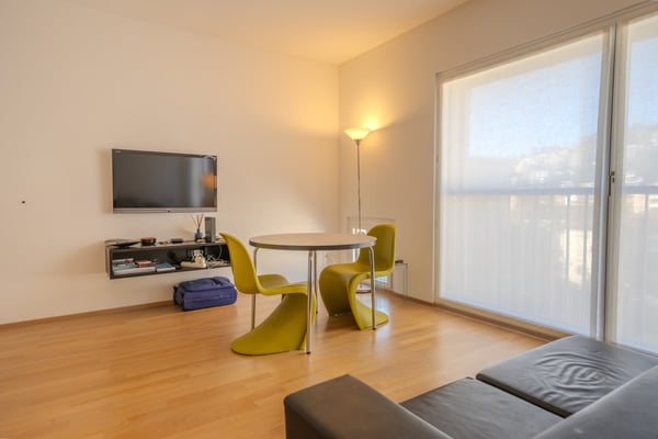 Ampio monolocale arredato a Lugano/Molino Nuovo 3