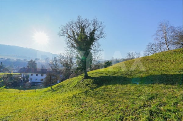 1864 m2 Bauland am Südhang - viel Privatsphäre - kaum Nebel 4