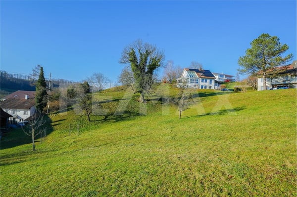 1864 m2 Bauland am Südhang - viel Privatsphäre - kaum Nebel 3
