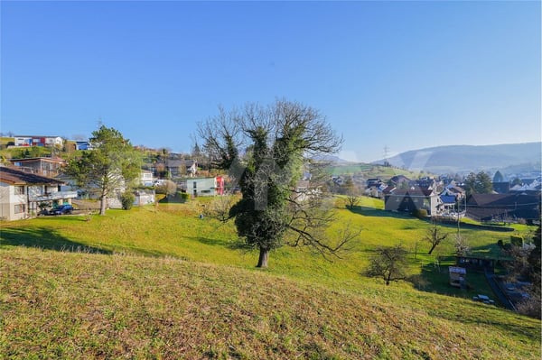 1864 m2 Bauland am Südhang - viel Privatsphäre - kaum Nebel 2