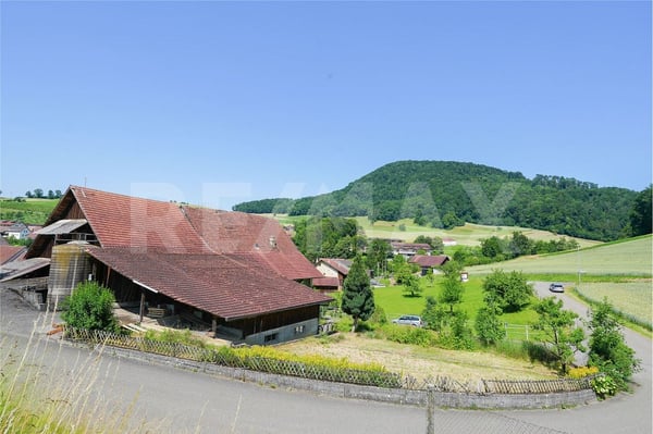 Altliegenschaft mit bewilligtem Neubauprojekt - 1499 m2 Bauland 1