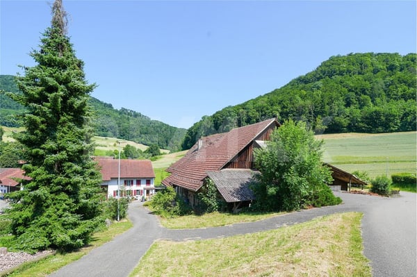 Altliegenschaft mit bewilligtem Neubauprojekt - 1499 m2 Bauland 4