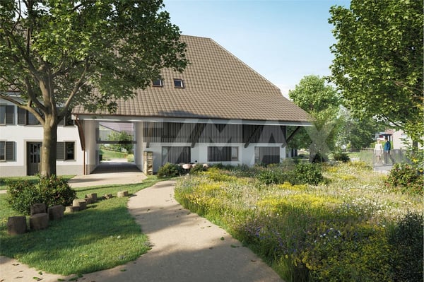 LINDENSTEG: Zentral und grosszügig wohnen 3