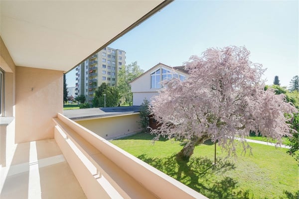 Charmant wohnen in parkähnlicher Umgebung: 4.5 Zimmer-Eck-Reihenhaus (erweiterbar) 5