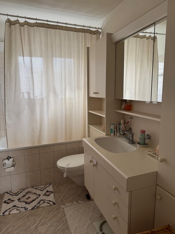 Schöne 4.5 Zimmerwohnung in Wallisellen 9