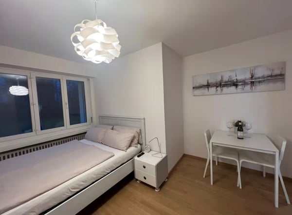 Moderne 1. Zimmerwohnung in Frauenfeld 3
