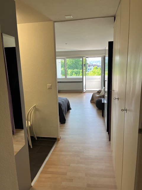Möblierte 1.0 Zimmer-Wohnung neben Altstadt 7